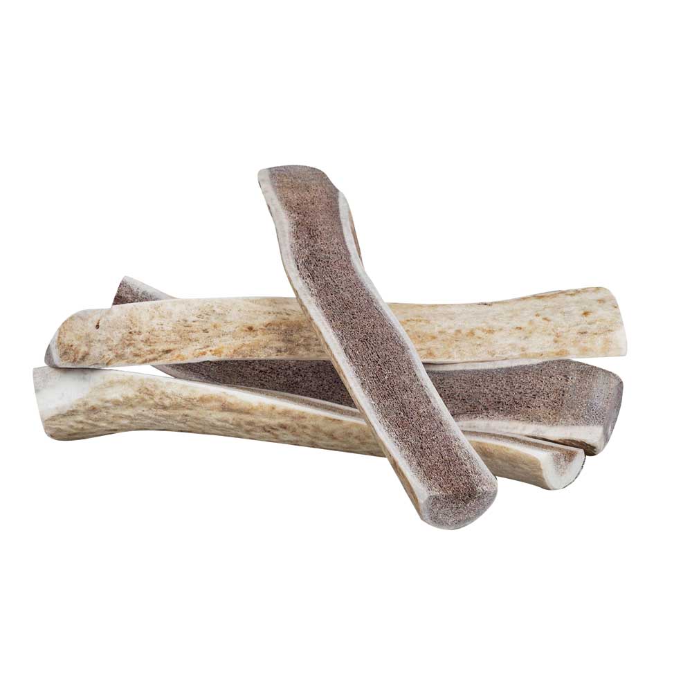 Primal Dog Antler Chew Elk Xlarge