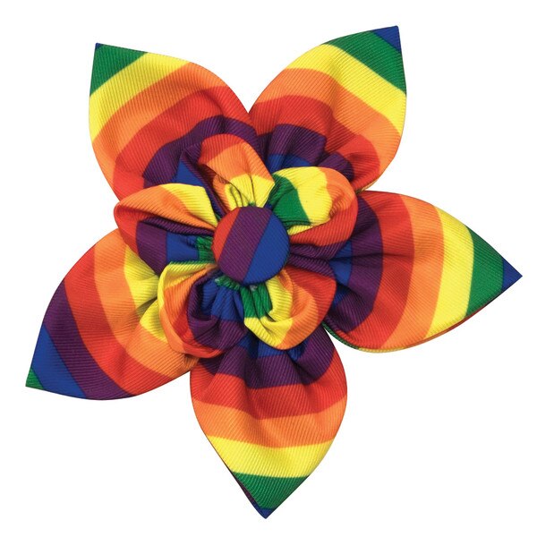 Worthy Dog Flower Rainbow Sm thatpetplace com