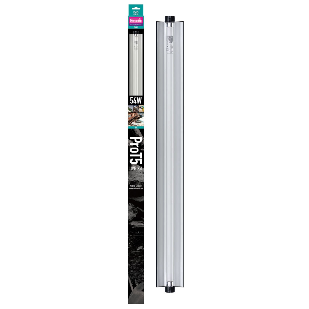 Darkstar Thunder コンプリート Amazon | (コンプリート 8.125インチ)ダークスター DARKSTAR
