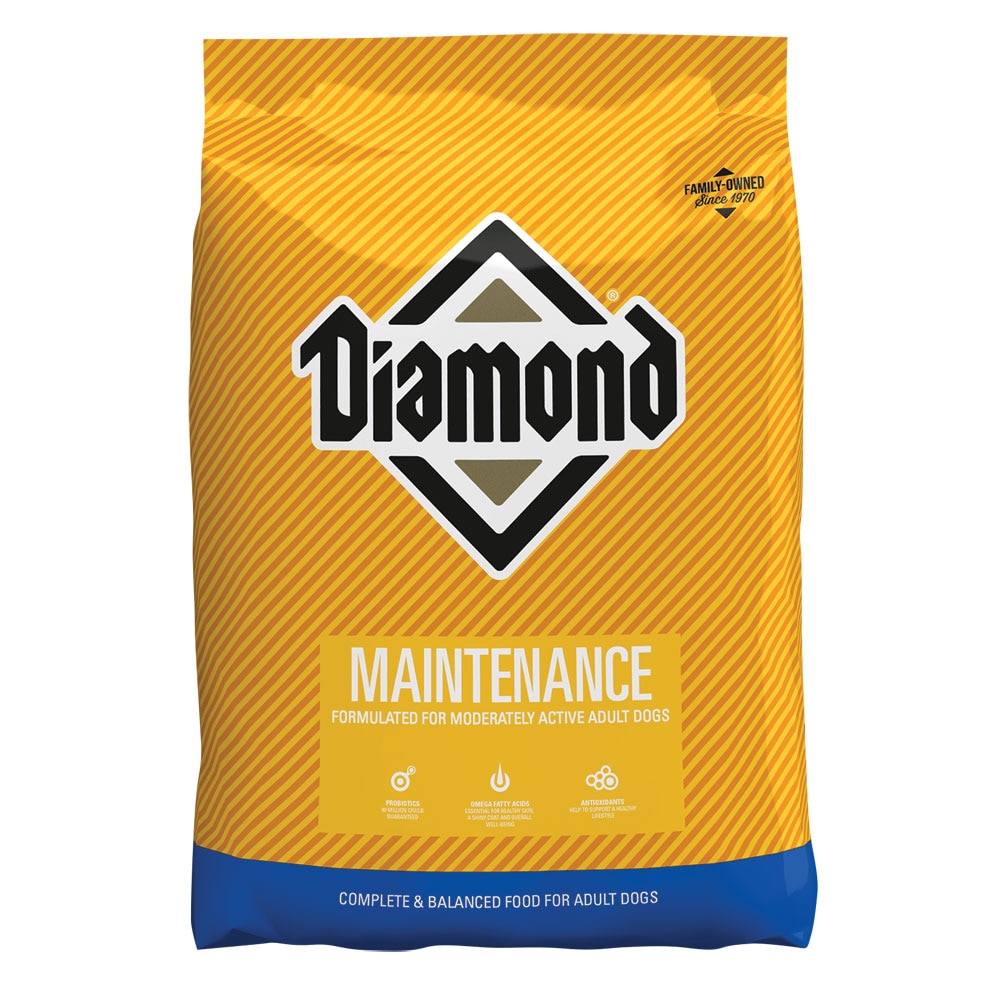 Diamond kitten cheap food