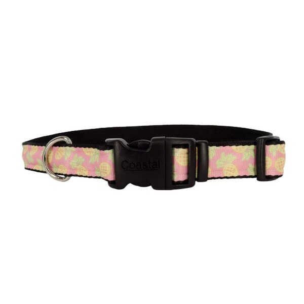 Coastal Pineapple Dog Collar XS 5/8x812in.