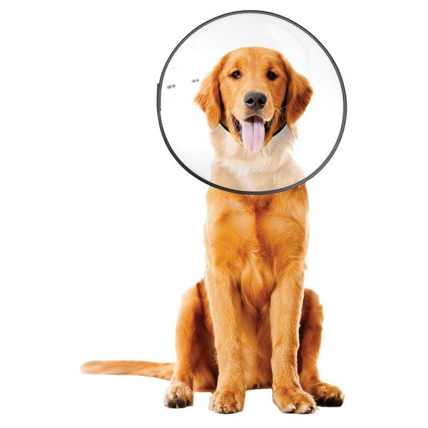 EClear Plastic ECollar XL