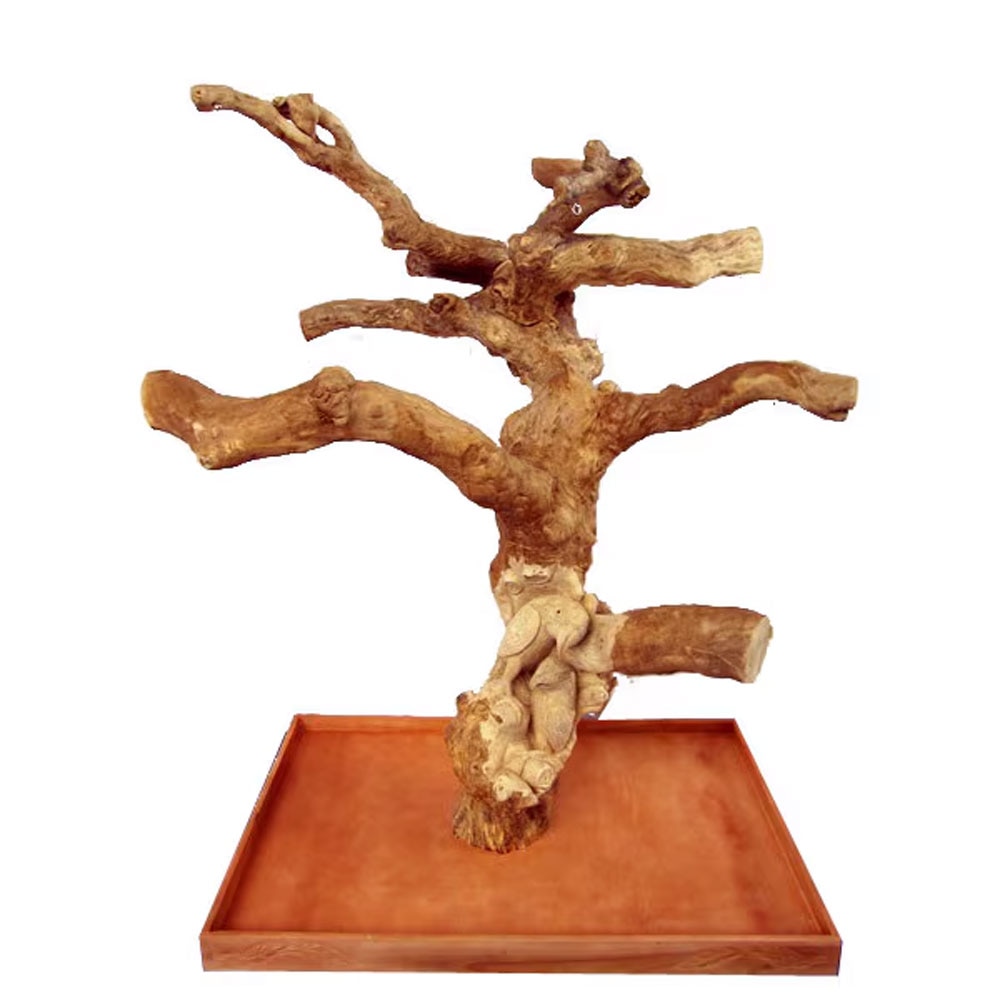 java wood様　エゾ鹿の角① A&E - Carved Java Wood Tree 48x32x66in | thatpetplace.com